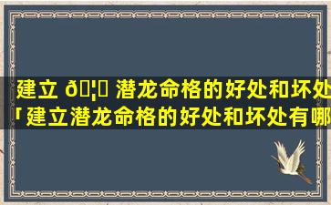 建立 🦅 潜龙命格的好处和坏处「建立潜龙命格的好处和坏处有哪些」